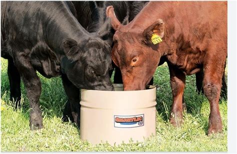 Intake consistency is a positive feature of tubs. . Lick tubs for cattle